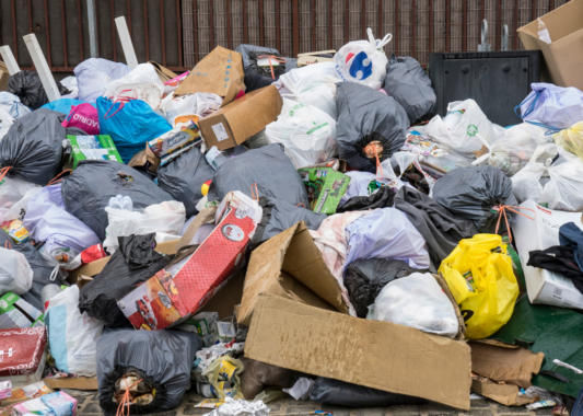 rubbish (2) rubbish (2)